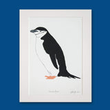 Chinstrap Penguin Screen Print