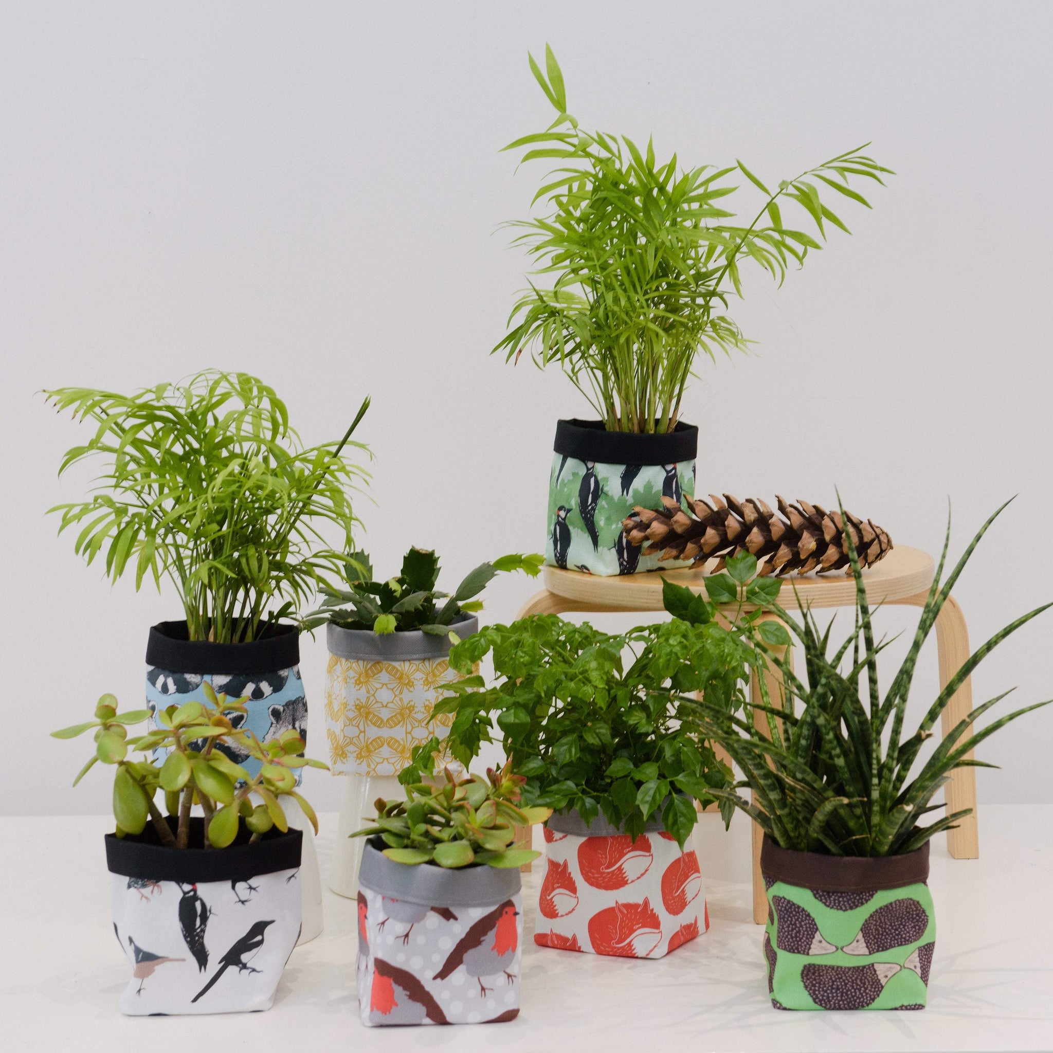 raccoon plant pot Raccoon Print Textile Plant Pot – Sheffield Makers Winter Gardens