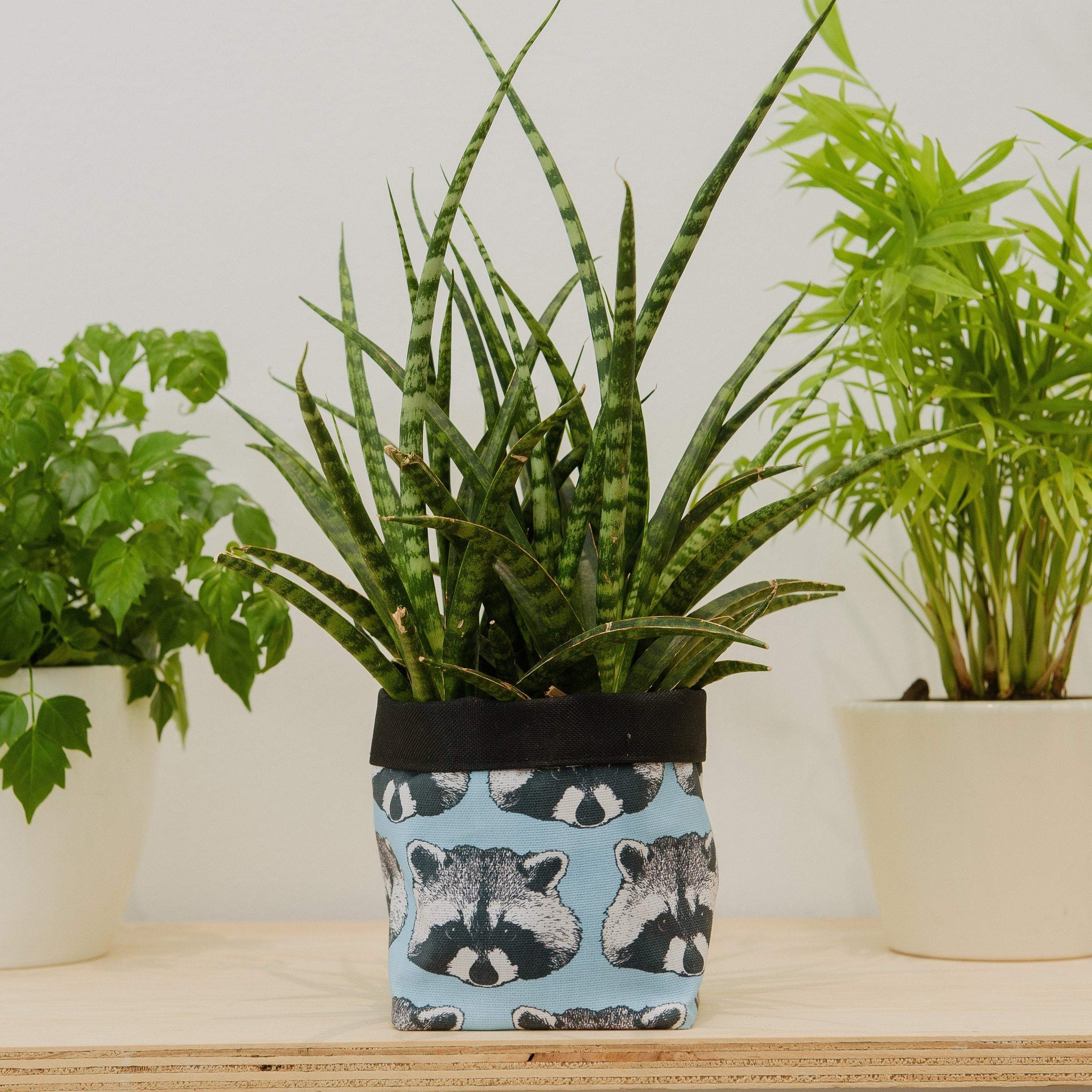 raccoon plant pot Raccoon Print Textile Plant Pot – Sheffield Makers Winter Gardens